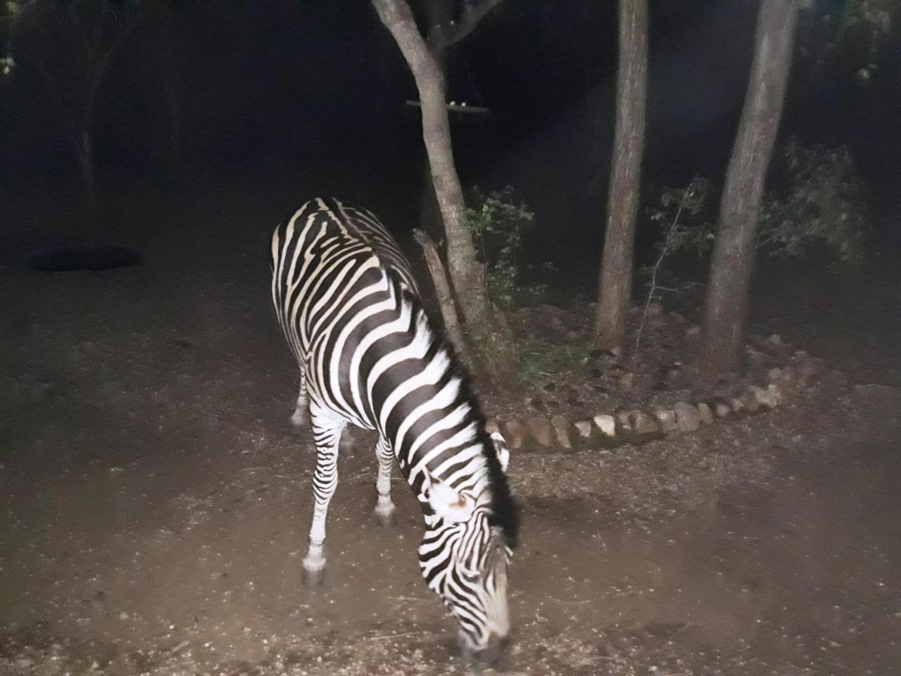 African Sky مارلوث بارك المظهر الخارجي الصورة