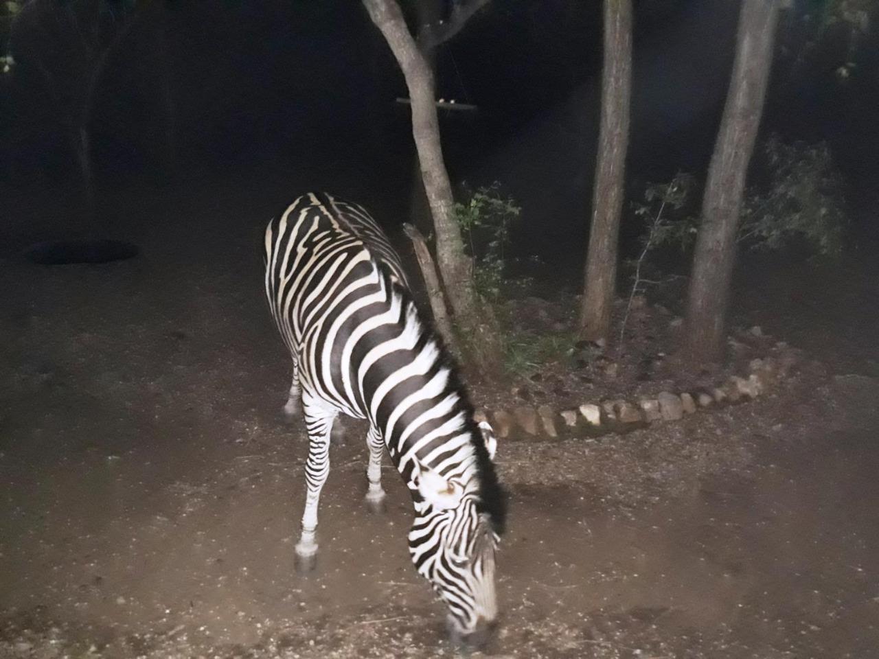 فيلا African Sky مارلوث بارك المظهر الخارجي الصورة